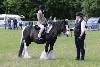 thornton-le-dale-gala showclass7acharity25-5-20009